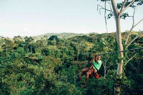 Forêt de Nyungwe : promenade dans la canopée, tyrolienne et chimpanzés