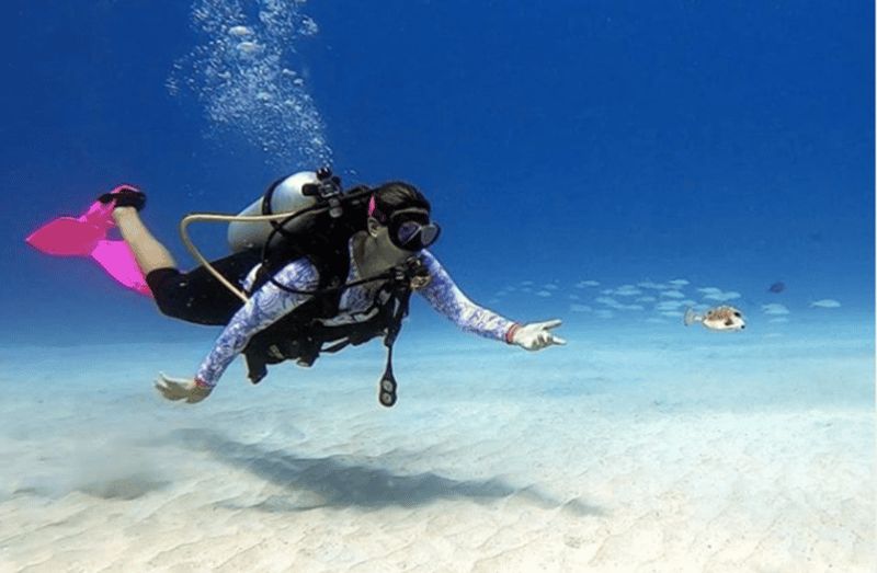 San Andres: expérience de plongée sous-marine avec prise en charge à l'hôtel