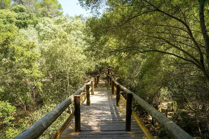 Mallorca : billet d'entrée au parc Reserva avec nature et animaux