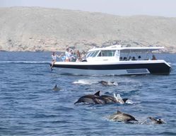Mascate : excursion en bateau pour l'observation des dauphins
