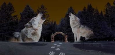 Montebello, QC: Parc Omega ONIRO Immersive Experience at Night