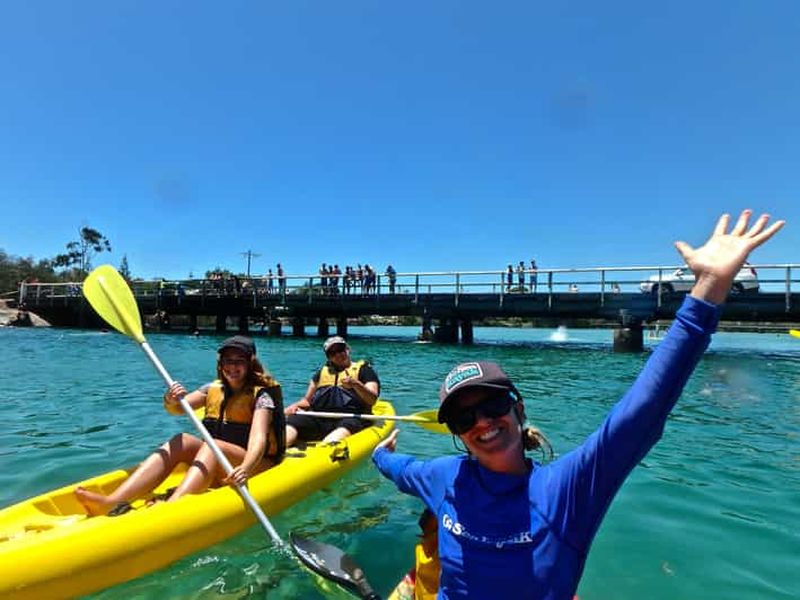 Byron Bay : Excursion en kayak sur la rivière Brunswick