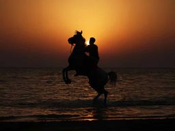 Liwa : aventure équestre dans le désert