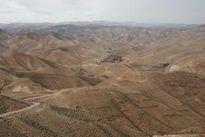 Au départ de Tel Aviv : Visite de la Mer Morte et safari dans le désert
