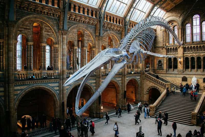Londres : Musée d'histoire naturelle Entrée réservée et visite audio