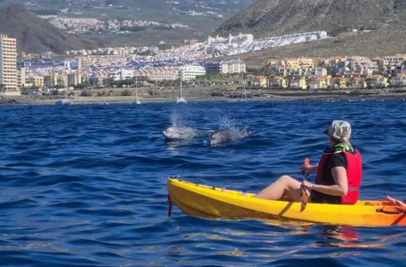 Tenerife : safari en kayak et plongée avec tuba pour observer les tortues de mer