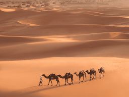 Au départ de Marrakech : Circuit de 3 jours à Merzouga et dans le désert du Sahara