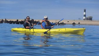 Walvis Bay : Excursion en kayak à Pelican Point