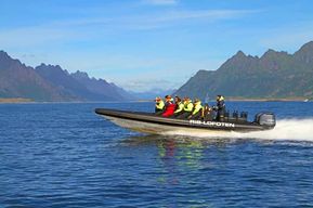 Au départ de Svolvær : safari en zodiac Sea Eagle dans les Lofoten et croisière dans le Trollfjord