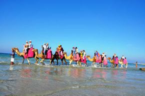 Djerba : profitez d'une balade à dos de chameau sur la plage (1 h)