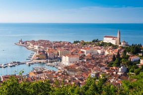 Depuis Ljubljana : Excursion à Piran avec visite historique à pied
