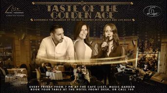 Budapest : dîner et musique hongroise en direct