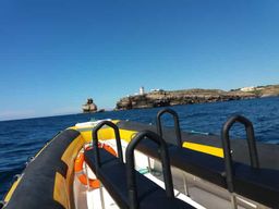 Depuis Peniche : excursion en bateau d'une heure à Cabo Carvoeiro