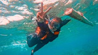 Excursion à Bohol : dauphins, Balicasag et Virgin Island