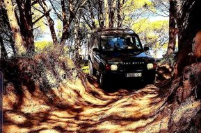 Cesarò : Visite d'une jounée du parc des Nebrodi en 4x4