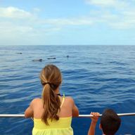 Ténérife : croisière d'observation des baleines et dauphins avec arrêt baignade