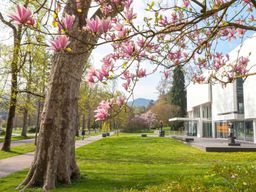 Baden-Baden : visite guidée le long de la Lichtentaler Allee