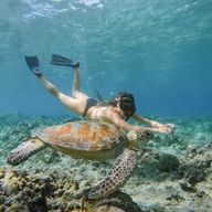 Depuis Gili Meno : Plongée privée avec tortue et statue