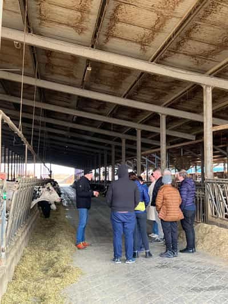 Bologne : excursion d'une journée avec déjeuner léger à la découverte de Ferrari, du parmesan et du vinaigre balsamique