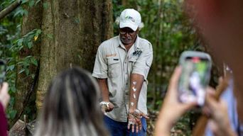 Cairns : excursion dans la forêt tropicale de Daintree et à la gorge de Mossman
