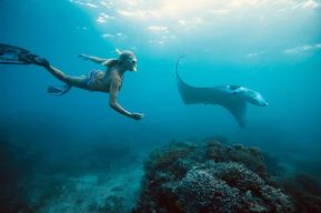 Bali/Nusa Penida : Manta Point Snorkel Boat & West Coast Tour