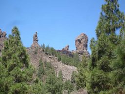 Au départ de Las Palmas : excursion d'une journée au Pico de las Nieves et au Roque Nublo