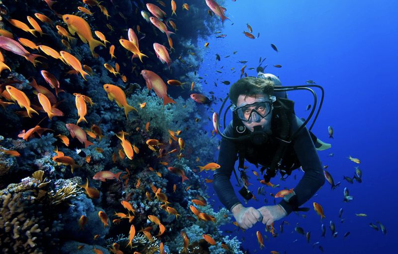Plongée sous-marine à Keyhole Pinnacle (Sainte-Lucie)