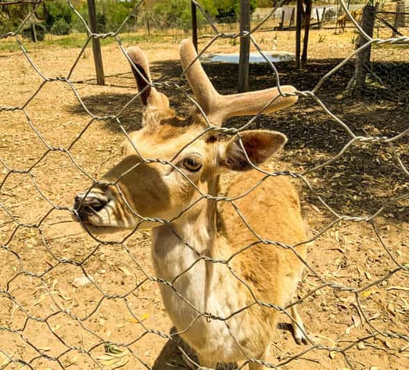 Tunisie : forfait familial parc Friguia