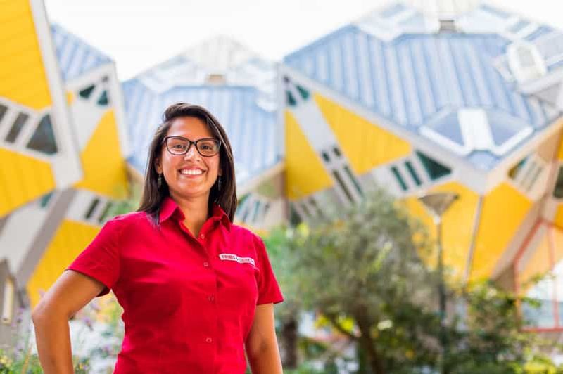 Depuis Amsterdam : visite guidée d'une journée à Rotterdam, Delft et La Haye