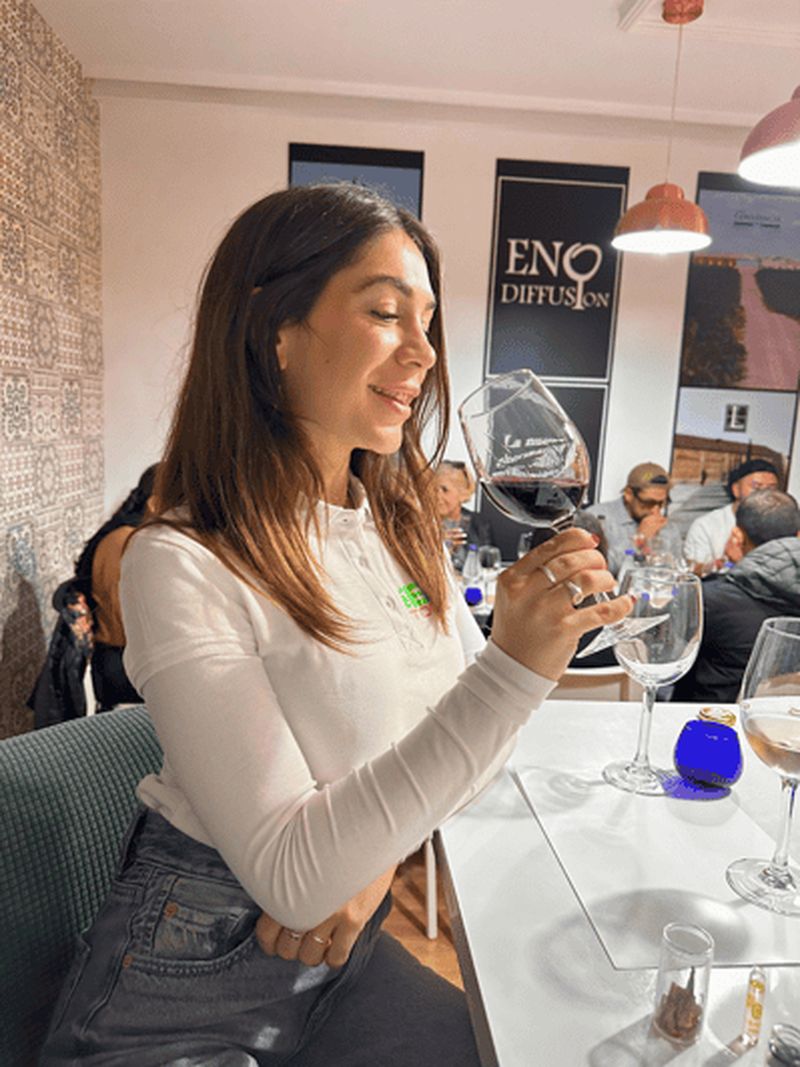 Depuis Madrid : Visite de Tolède avec dégustation de vin et 3 monuments