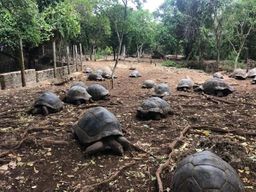 Zanzibar : visite de l'île-prison, de Stone Town et de la ferme aux épices