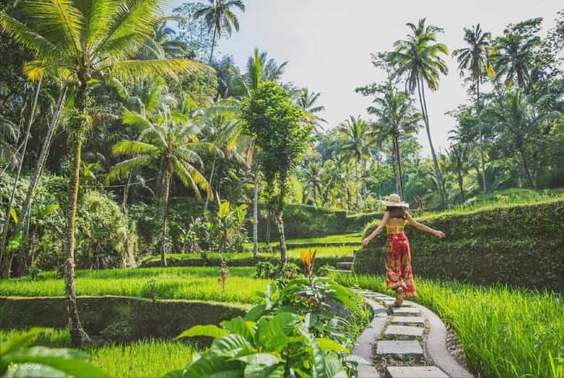 Ubud Palace : Alas Harum, Rice Terrace & Waterfall Day Tour