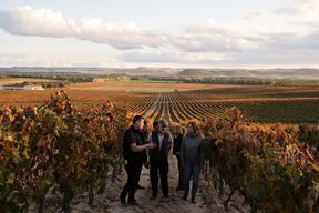 Ribera del Duero : expérience, vignoble et 4x4 de montagne, apéritif et dégustation.