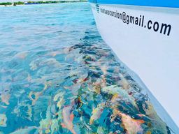 Rangiroa : lagon bleu, Tiputa Pass, jardin de corail, île aux oiseaux