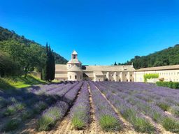 Les perles du Luberon : Gordes, Roussillon et l'abbaye de Sénanque