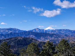 Tokyo : randonnée nature et culture au mont Takao avec guide privé