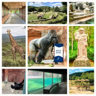 Guide audio en ligne du zoo de Prague (sans billet)