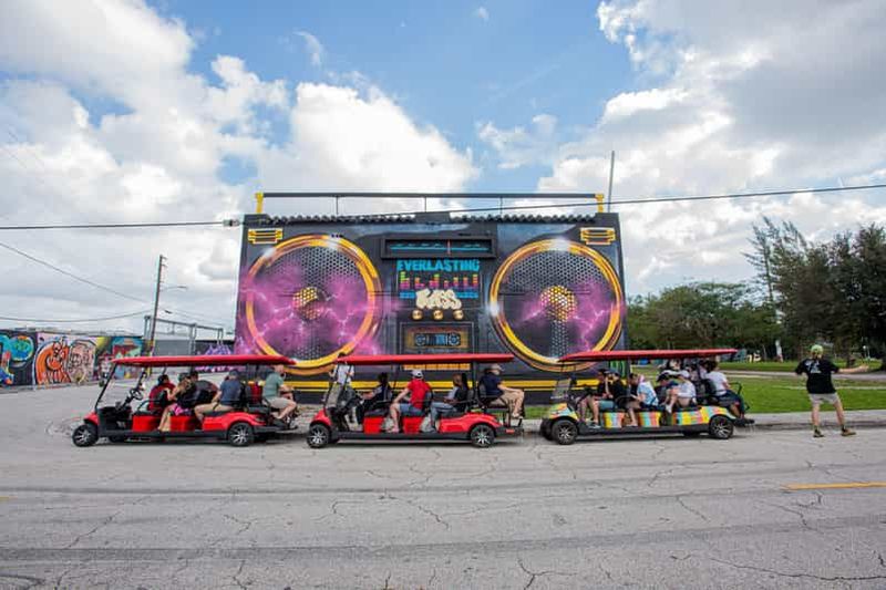 Wynwood Art District - Visite d'une heure de Wynwood Buggies - Street Art Tour