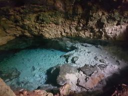 Dauphins +Forêt de Jozani+ Grotte de Kuza+Restaurant The Rock & Paje