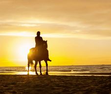 Carthagène des Indes : excursion à cheval au coucher du soleil avec guide touristique