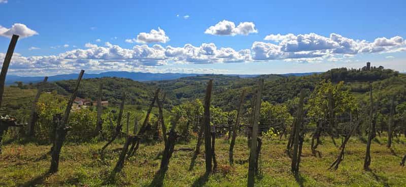 Goriška Brda : Promenade et dégustation de vins
