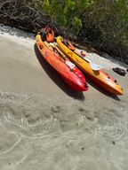 Excursion autonome kayak au Robert : îlet Chancel, iguanes et fonds blancs