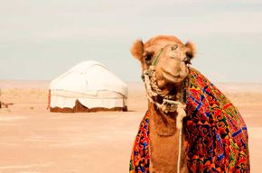 Safari à Kyzylkoum en Lac Aydar (2 jours) : camping en yourte et plus !