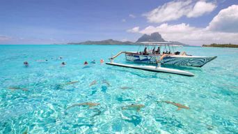 Bora Bora : Visite du lagon et plongée avec masque et tuba