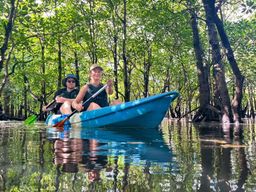 Île d'Iriomote : excursion en SUP ou en canoë sur la rivière Mangrove