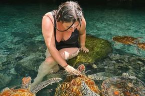 Salaam Cave : nage et nourrissage des tortues marines à Kizimkazi