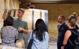 Depuis Aix-en-Provence : visite des vignobles des Côtes de Provence