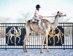 Maun, Botswana : Safari Camel Adventure