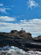 Vila Franca do Campo : Observation de la vie marine des oiseaux et visite de l'îlot