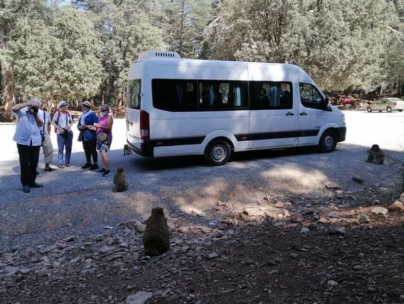 Au départ de Fès : Excursion d'une journée dans le Moyen Atlas avec le parc national d'Ifrane